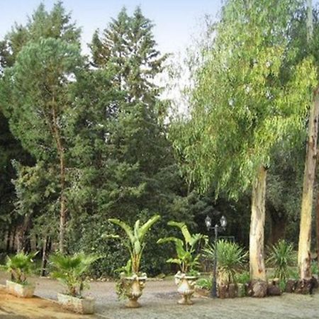 Villa Mado Ceglie Messapica Bagian luar foto